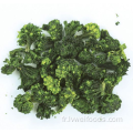 Broccoli déshydraté de haute qualité 5 * 5 mm